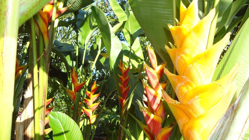 La Case Floria Saint-André Exteriör bild
